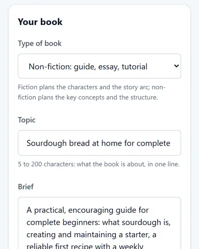The book brief form in AI eBook Suite