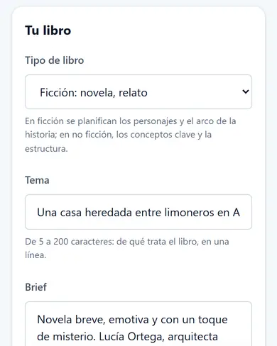 El formulario para describir el libro en AI eBook Suite